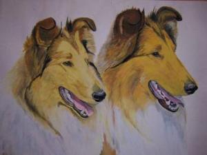 Collies